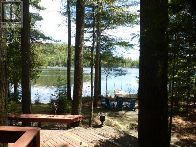 1008 Constance Road, Dysart Et Al, Ontario  K0L 2A0 - Photo 4 - X13170110