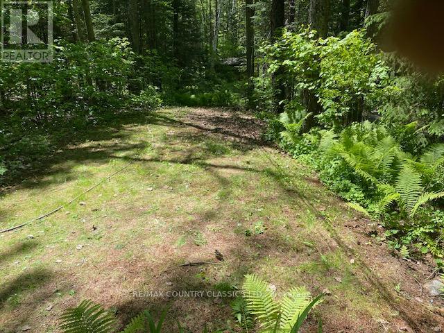 1008 Constance Road, Dysart Et Al, Ontario  K0L 2A0 - Photo 22 - X13170110
