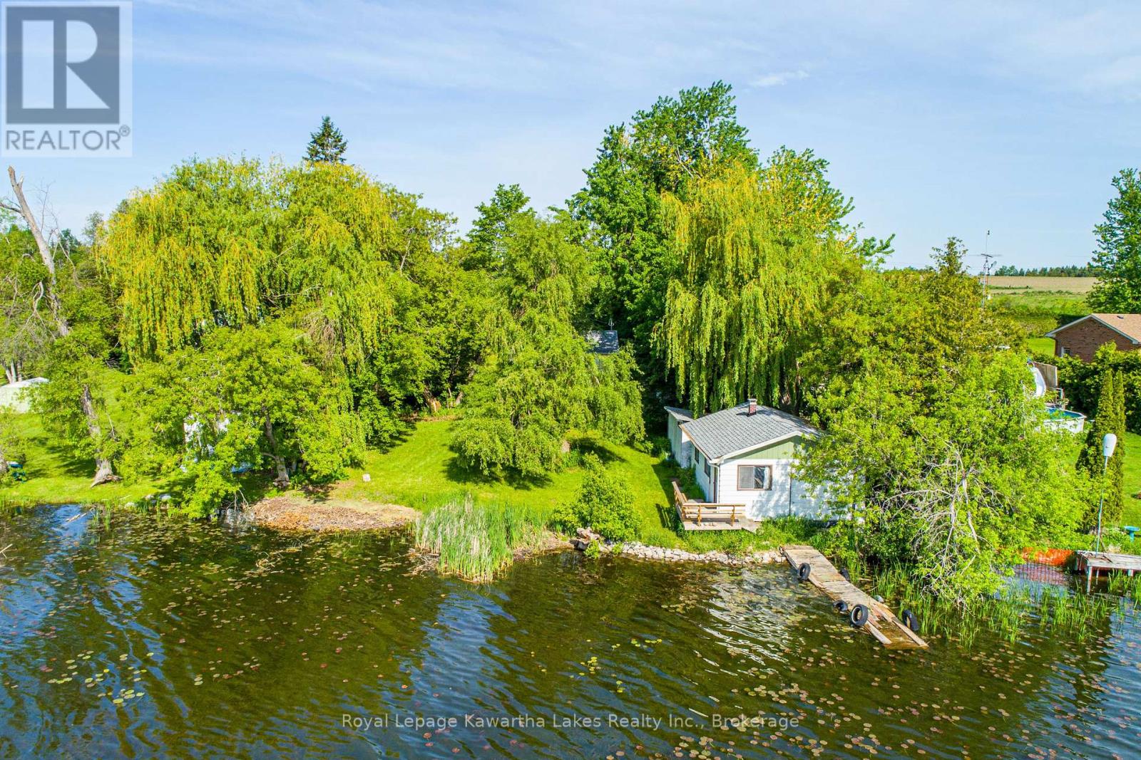 244 O'reilly Lane, Kawartha Lakes, Ontario  K0M 2C0 - Photo 5 - X13243214
