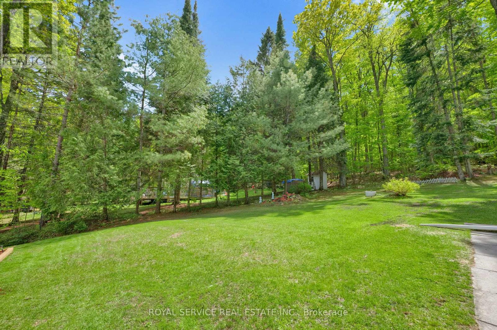 1039 Grace River Road, Highlands East, Ontario  K0L 3C0 - Photo 33 - X12536296