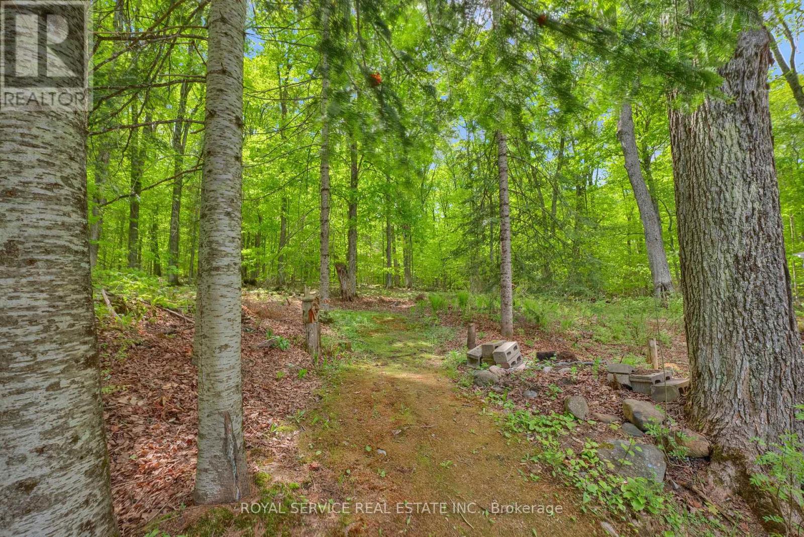 1039 Grace River Road, Highlands East, Ontario  K0L 3C0 - Photo 37 - X12536296