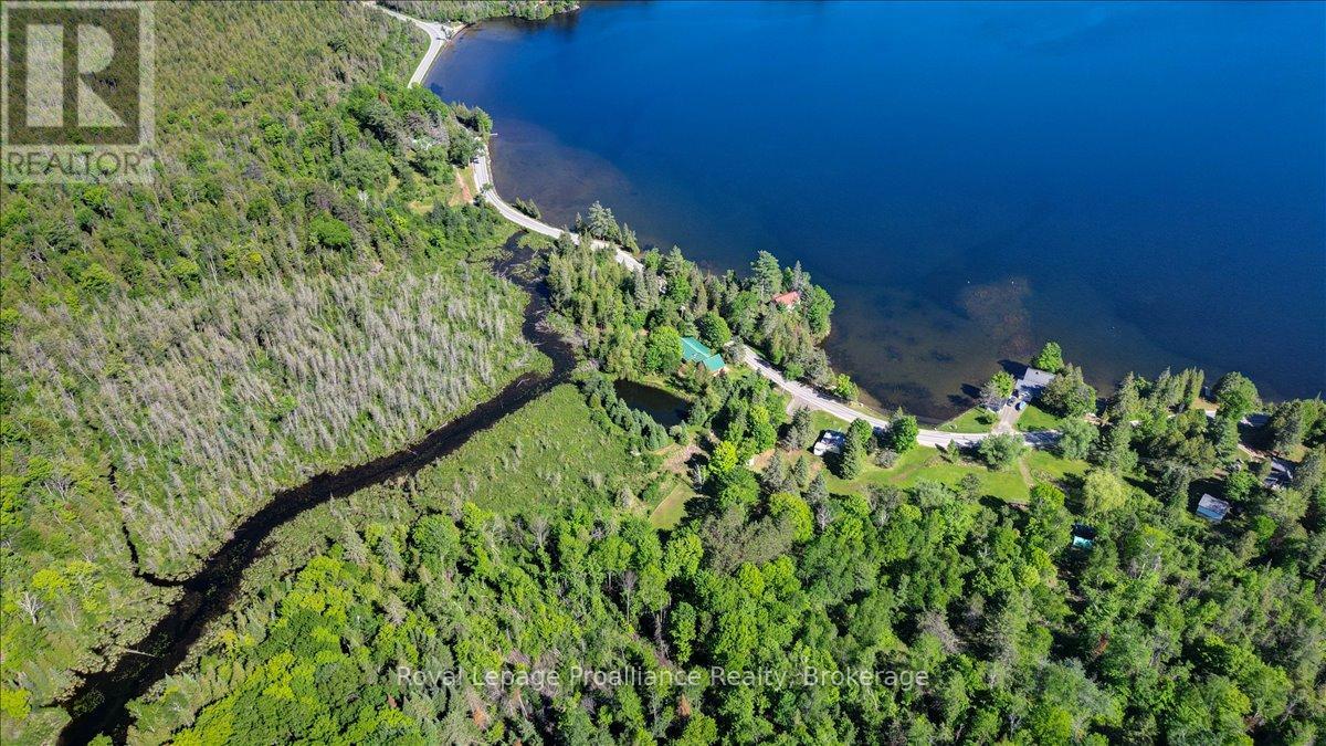 348 Steenburg Lake Road N, Limerick, Ontario K0L 1W0 - Photo 45 - X13429392