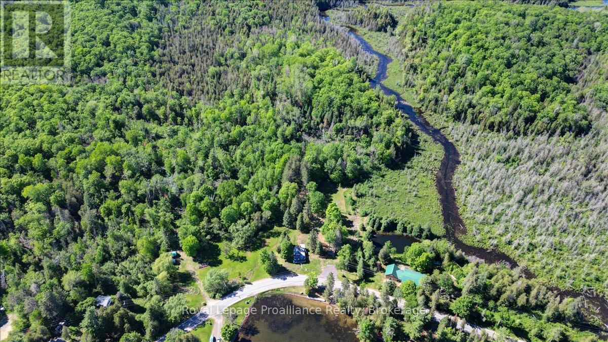348 Steenburg Lake Road N, Limerick, Ontario K0L 1W0 - Photo 46 - X13429392