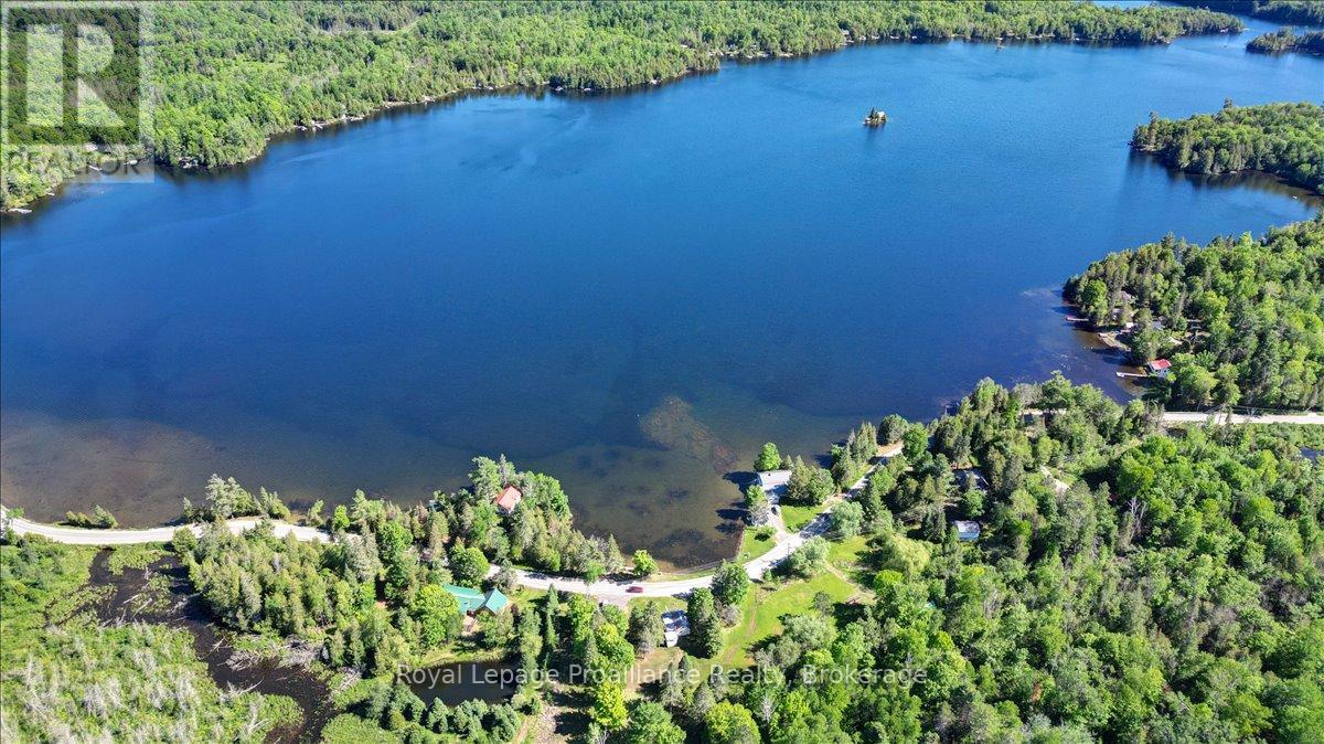 348 Steenburg Lake Road N, Limerick, Ontario K0L 1W0 - Photo 47 - X13429392