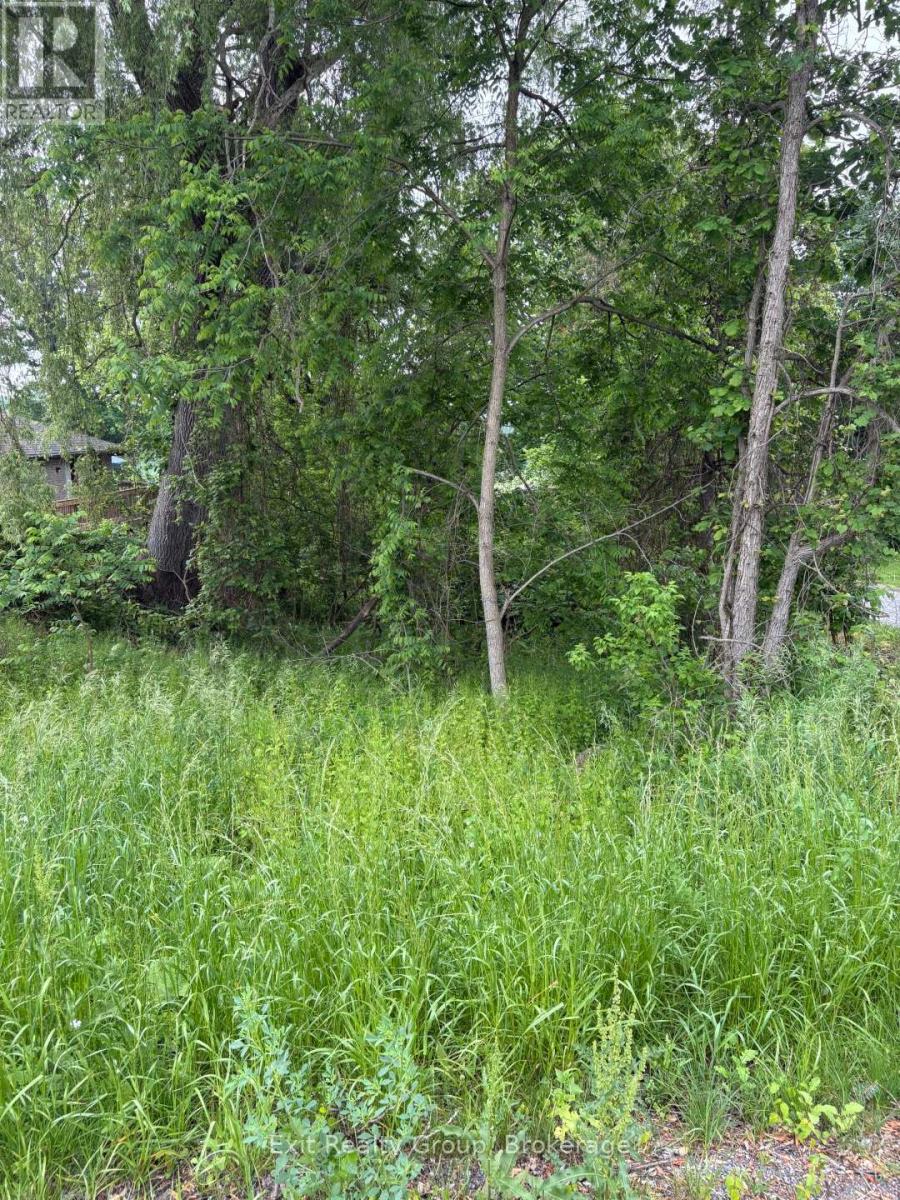 00 County Rd 5, Quinte West, Ontario  K0K 3M0 - Photo 4 - X13437370