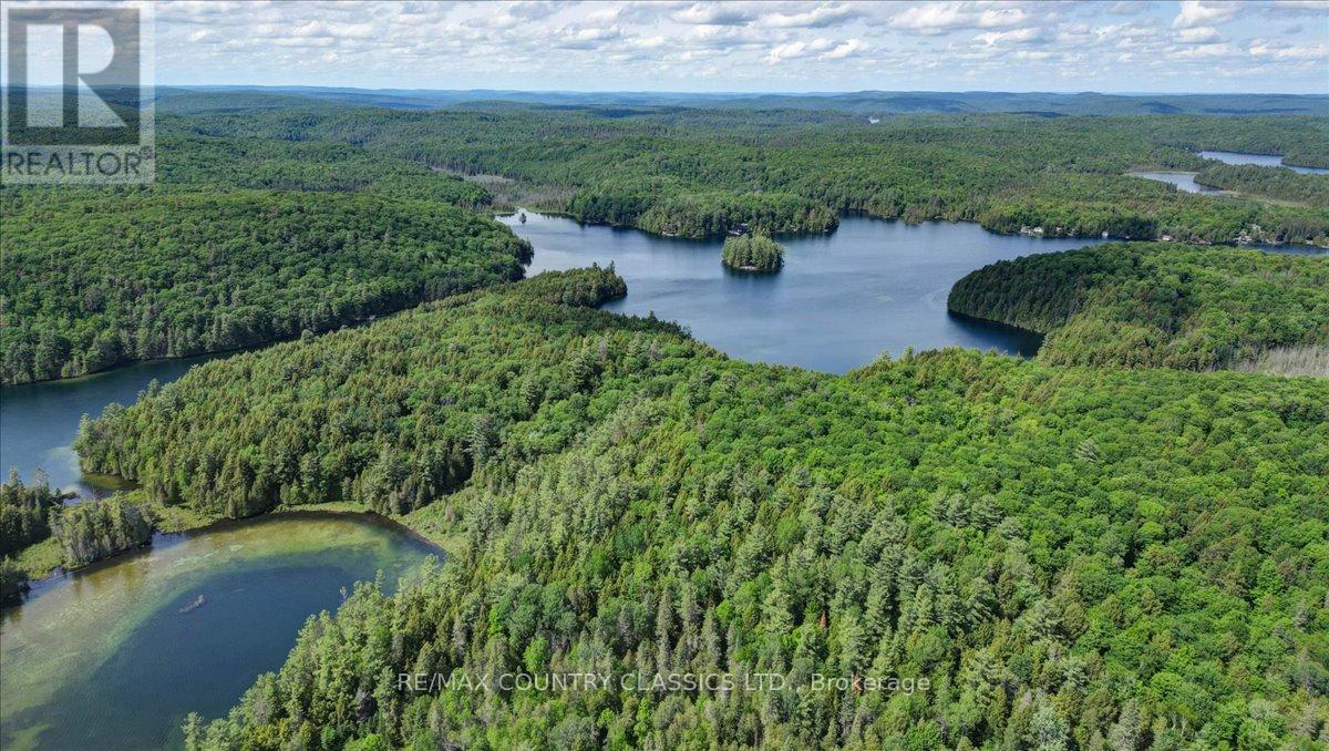 290b Brown Lane, Carlow/mayo, Ontario  K0L 2M0 - Photo 29 - X13444578