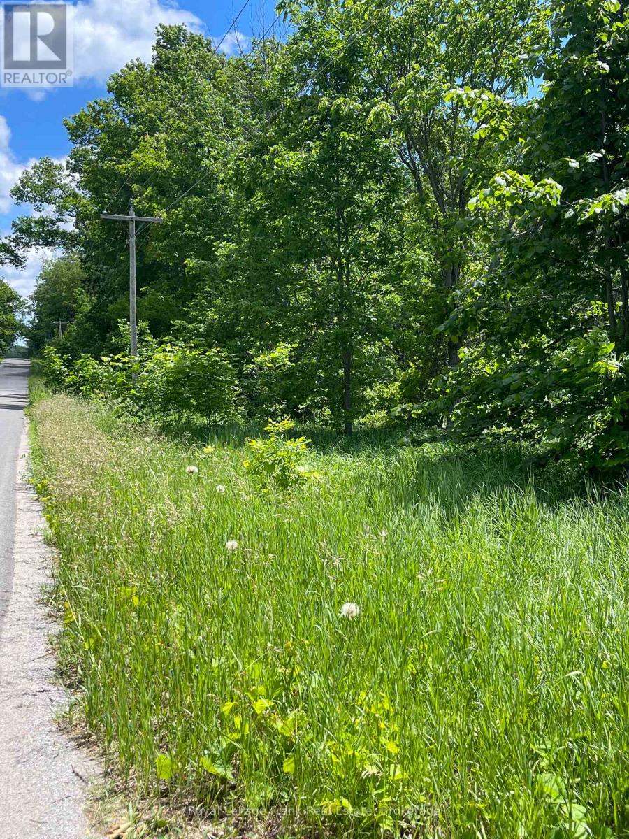 0 Balsam Lake Drive, Kawartha Lakes, Ontario K0M 2B0 - Photo 21 - X13469182