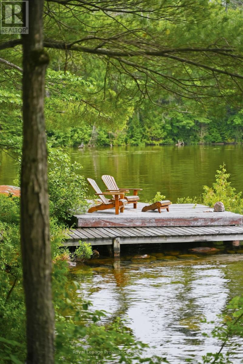 786 Mazinaw Lake, Addington Highlands, Ontario K0H 1K0 - Photo 5 - X13520474