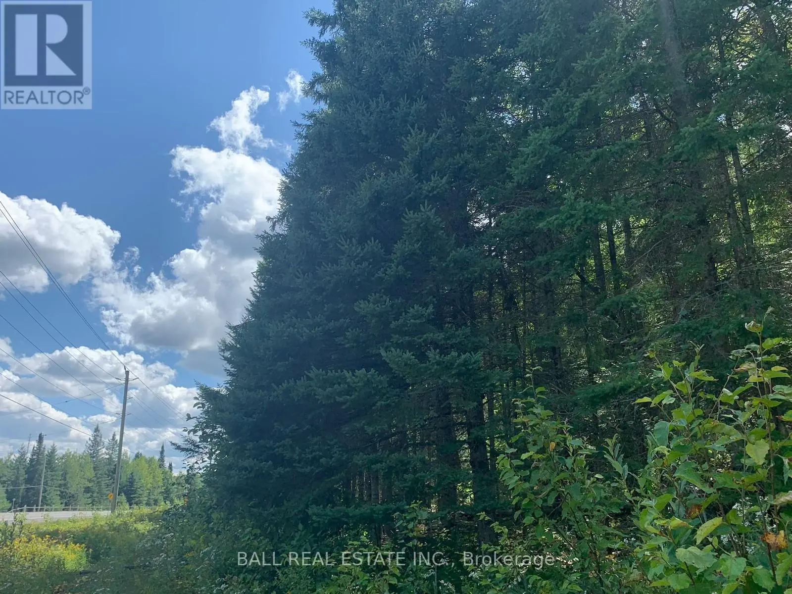 Lot 29 Highway 62 W, Hastings Highlands, Ontario  K0L 1C0 - Photo 1 - X8289666