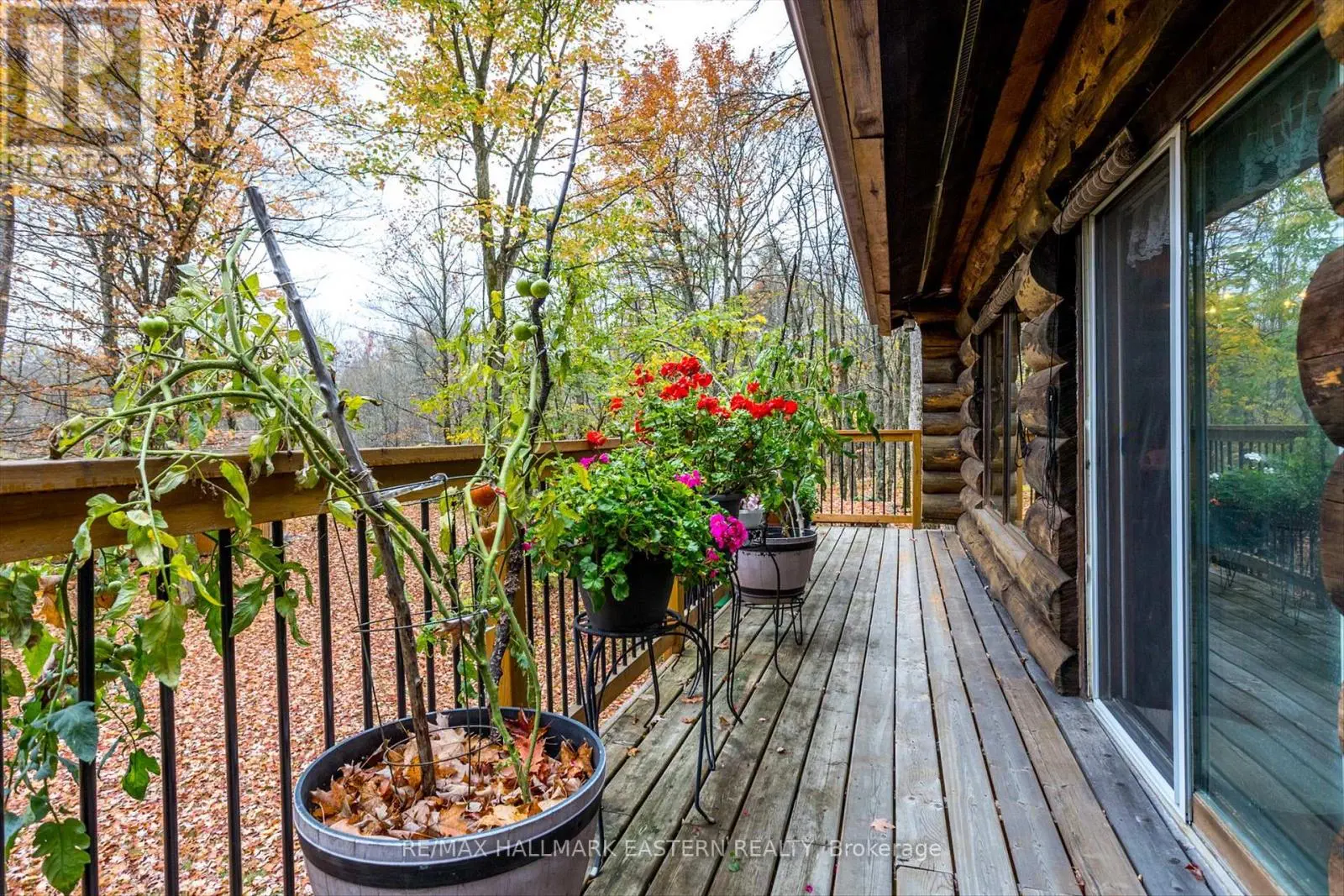 720 County Road 507, Trent Lakes, Ontario  K0L 1J0 - Photo 2 - X7215330