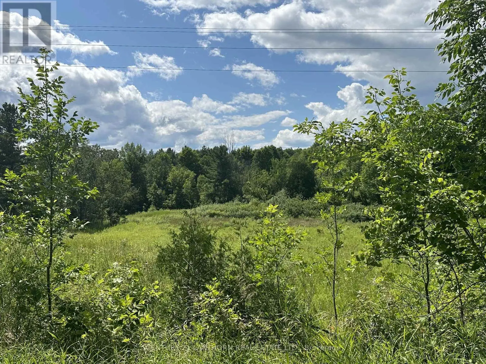 0 Scotch Settlement Road N, Madoc, Ontario  K0K 2K0 - Photo 1 - X8394670