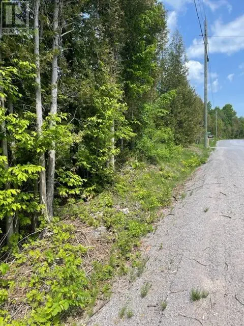 0 North School Road, Havelock-Belmont-Methuen, Ontario  K0L 2H0 - Photo 1 - X9237535