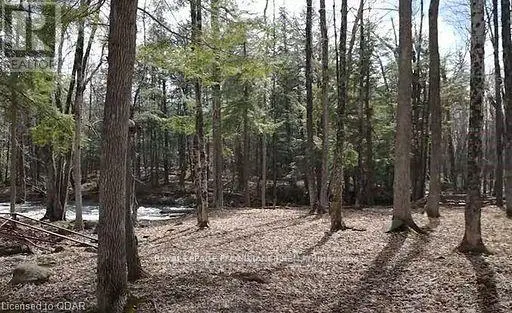 Lot 4 Future Lane, Stirling-Rawdon, Ontario  K0K 2M0 - Photo 1 - X9252479