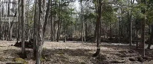 Lot 4 Future Lane, Stirling-Rawdon, Ontario  K0K 2M0 - Photo 2 - X9252479