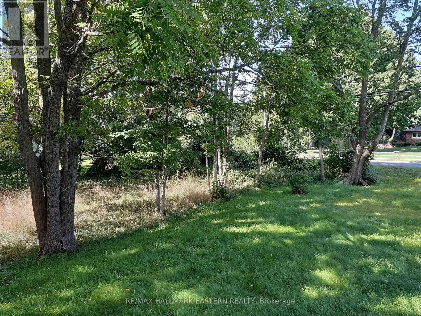 227 A Queen Street, Selwyn, Ontario  K0L 2H0 - Photo 1 - X9260497