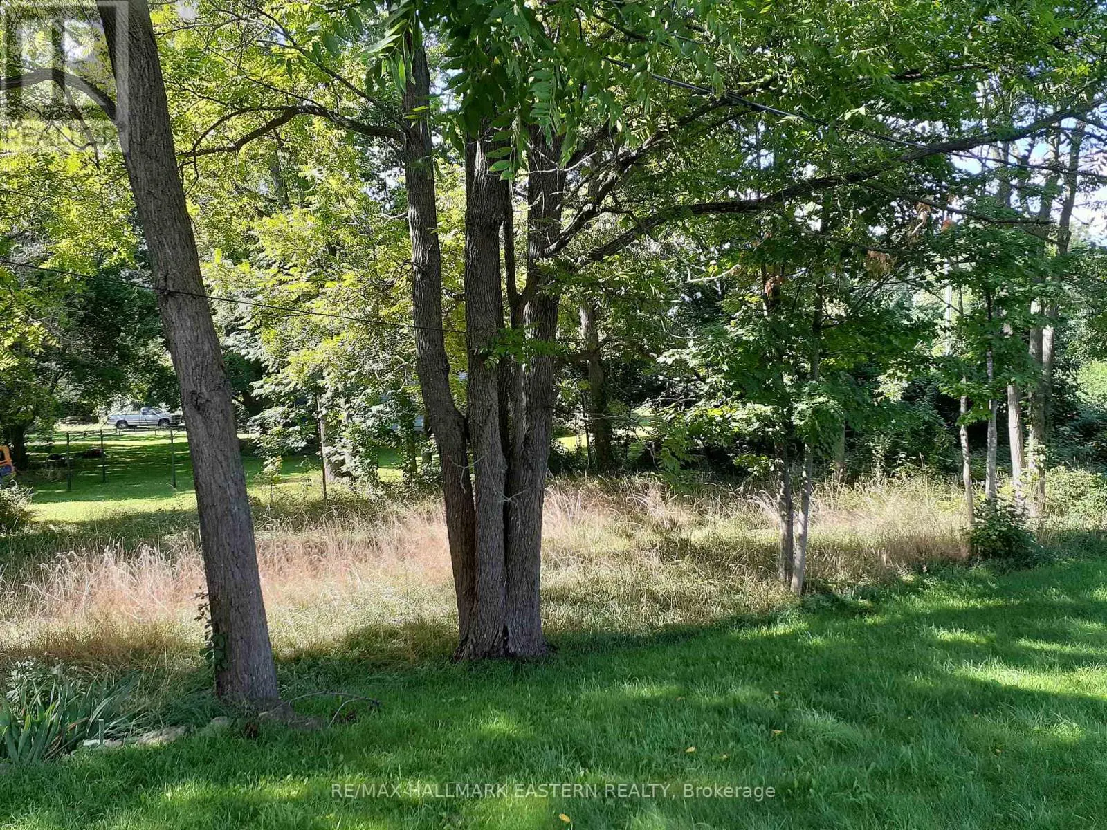 227 A Queen Street, Selwyn, Ontario  K0L 2H0 - Photo 3 - X9260497