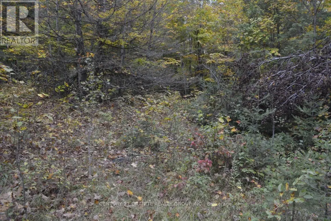 Ptlt 61 Old Hastings Road, Bancroft, Ontario  K0L 1P0 - Photo 3 - X8261860