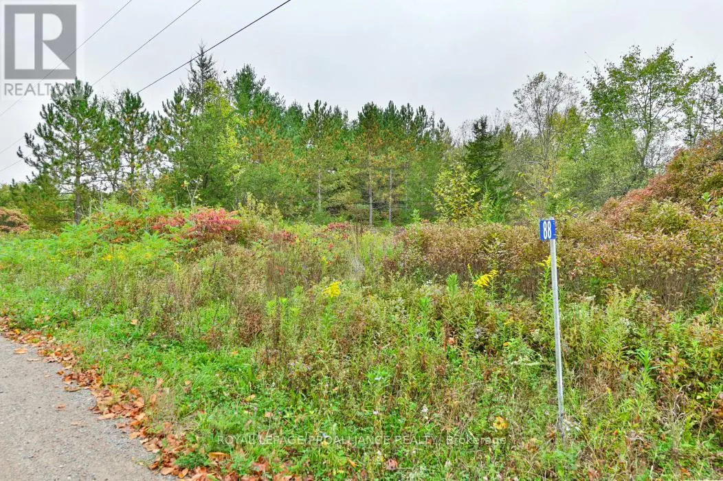 88 Conchie Road, Tweed, Ontario  K0K 3J0 - Photo 1 - X9365704