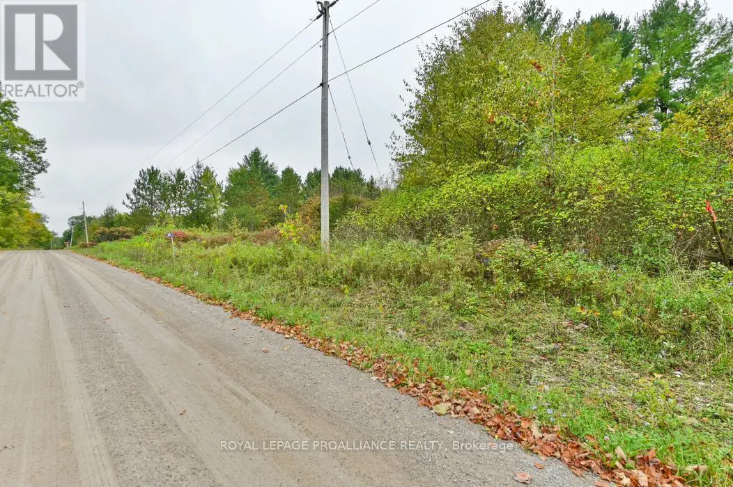 88 Conchie Road, Tweed, Ontario  K0K 3J0 - Photo 2 - X9365704
