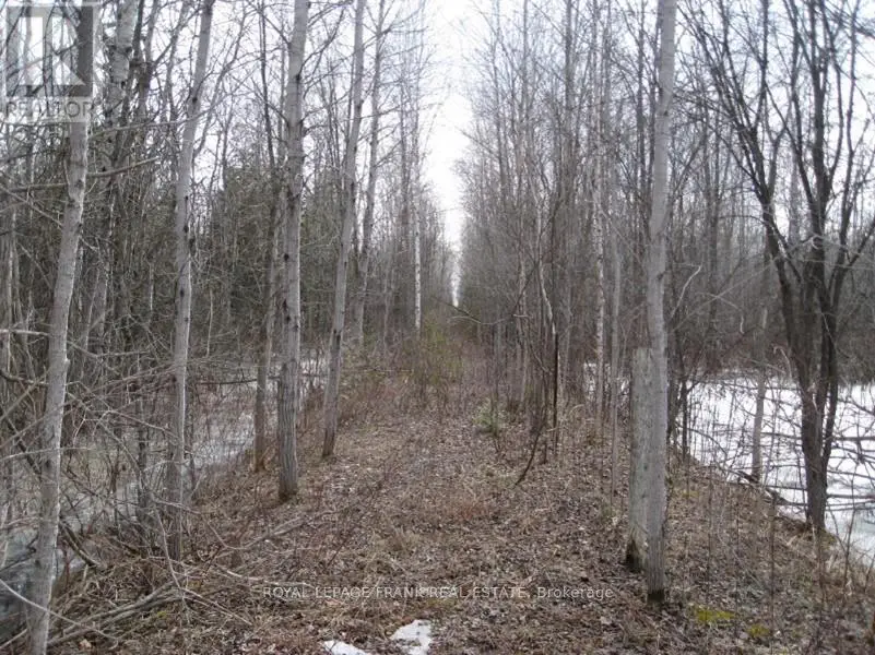 0 Mervin Line, Cavan Monaghan, Ontario  K9J 6Z9 - Photo 2 - X9366616