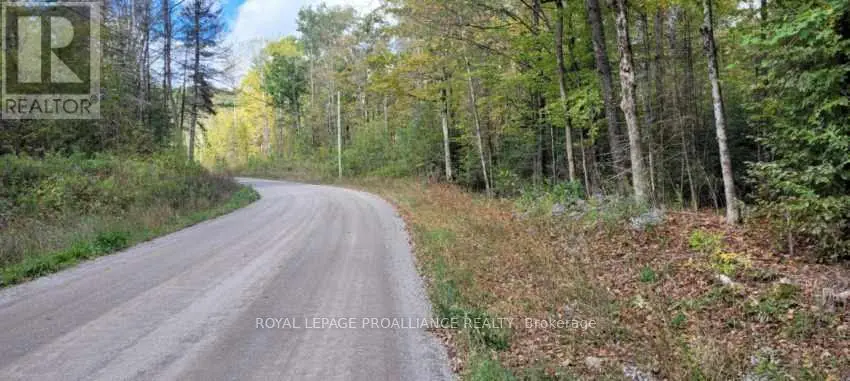 0 Shanick Road, Marmora And Lake, Ontario  K0K 2M0 - Photo 2 - X9374121