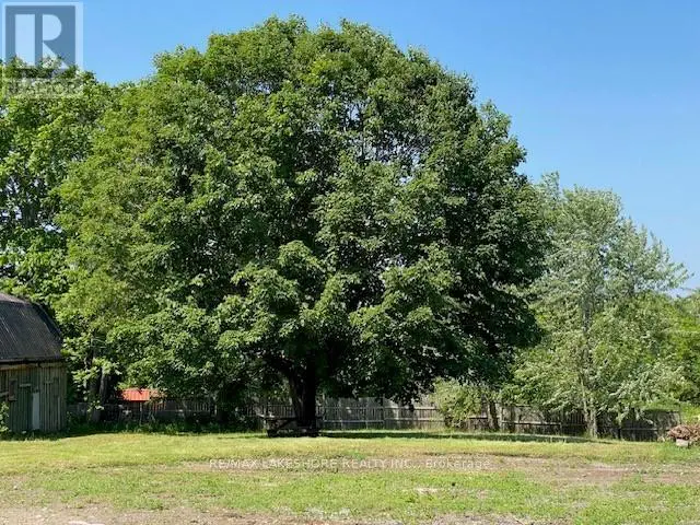 Part #2 Ontario Street, Cramahe, Ontario  K0K 1S0 - Photo 1 - X9375279