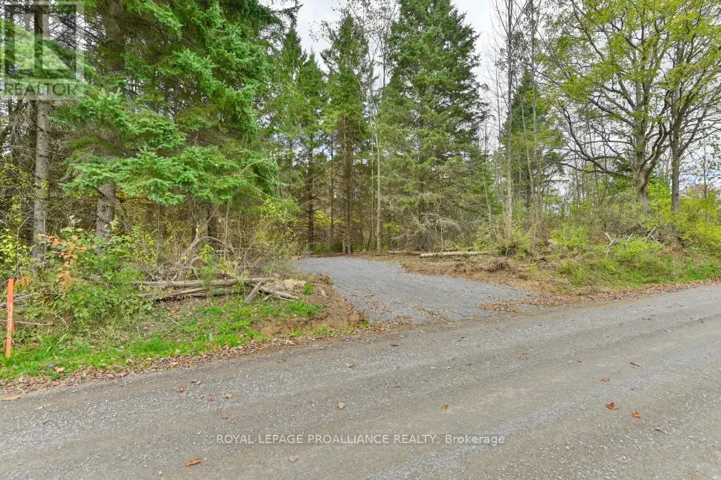 0 Otter Creek Road, Tweed, Ontario  K0K 3J0 - Photo 1 - X9393004