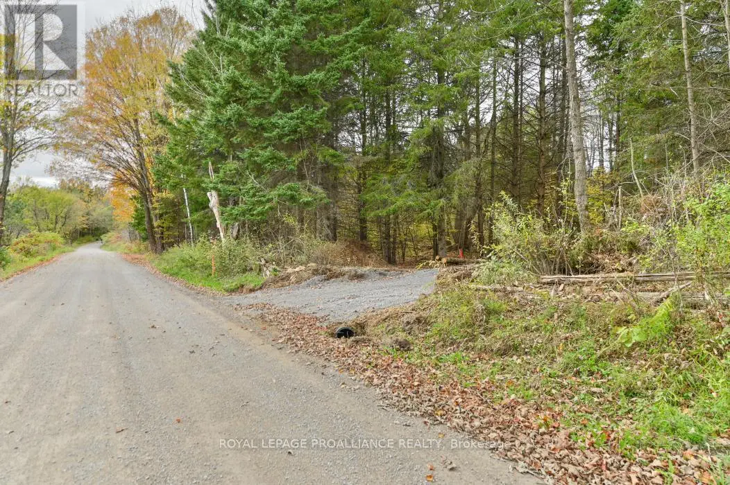 0 Otter Creek Road, Tweed, Ontario  K0K 3J0 - Photo 3 - X9393004