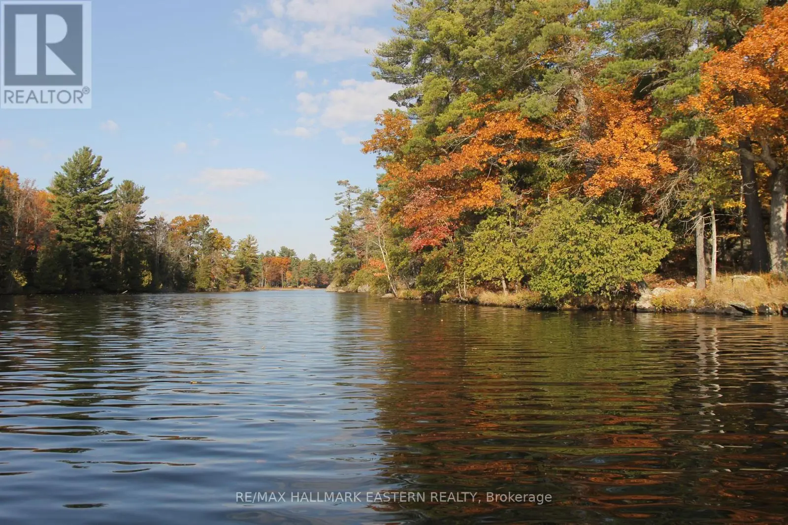Lots123 - C280 Lower Buckhorn Lake, Trent Lakes, Ontario  K0L 1J0 - Photo 3 - X9510150