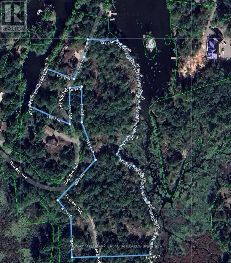 12 Fire Route 79b, Trent Lakes, Ontario  K0L 1J0 - Photo 2 - X10415468