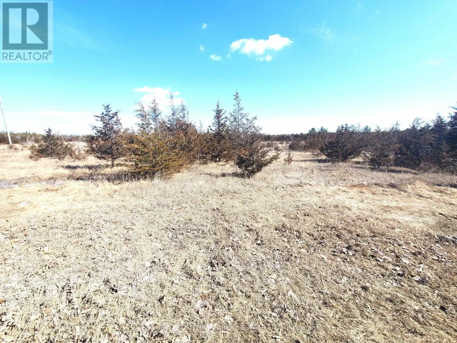 521 Hwy 41, Greater Napanee, Ontario  K0K 2W0 - Photo 2 - X10416878