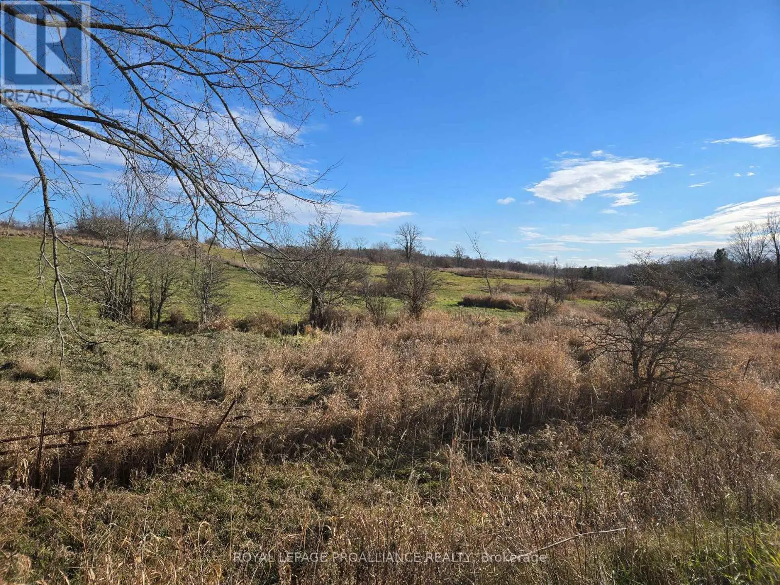 0 Cooper Road, Madoc, Ontario  K0K 2K0 - Photo 3 - X11882286