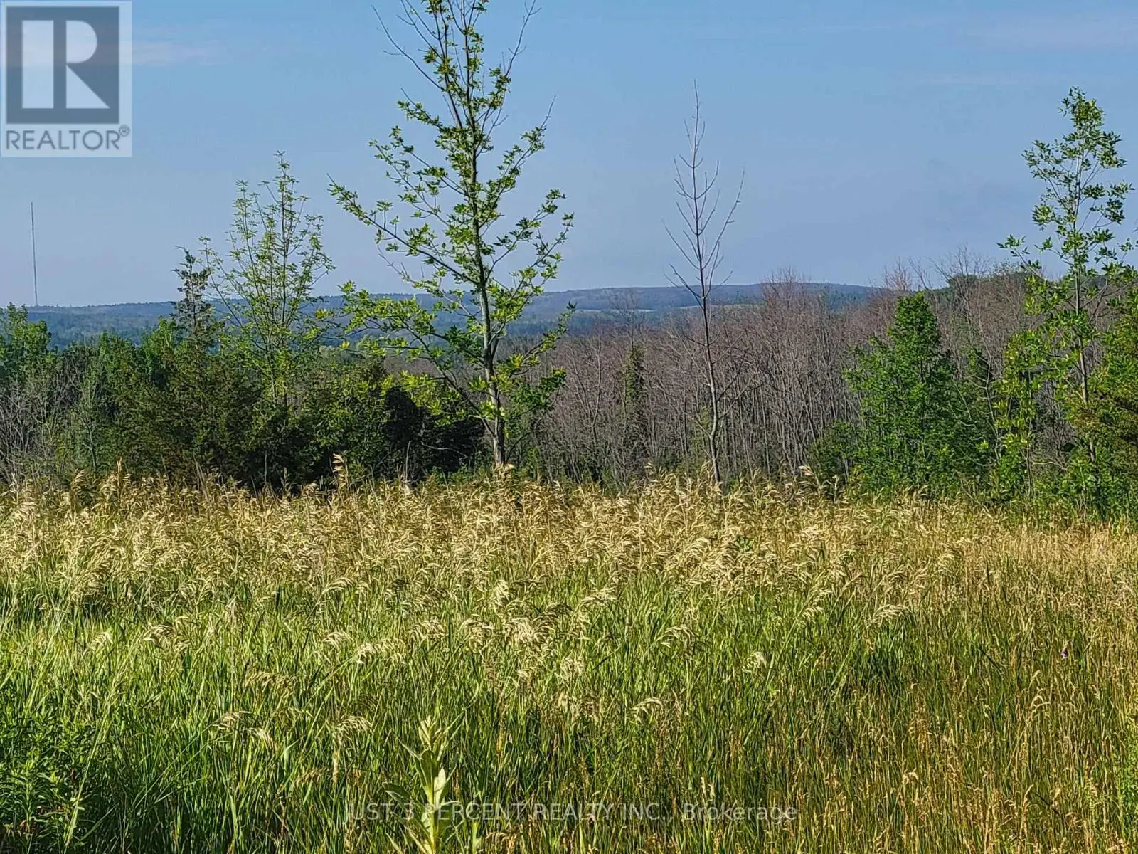 0 Curtis Point Road, Alnwick/haldimand, Ontario  K0K 2X0 - Photo 1 - X11889763