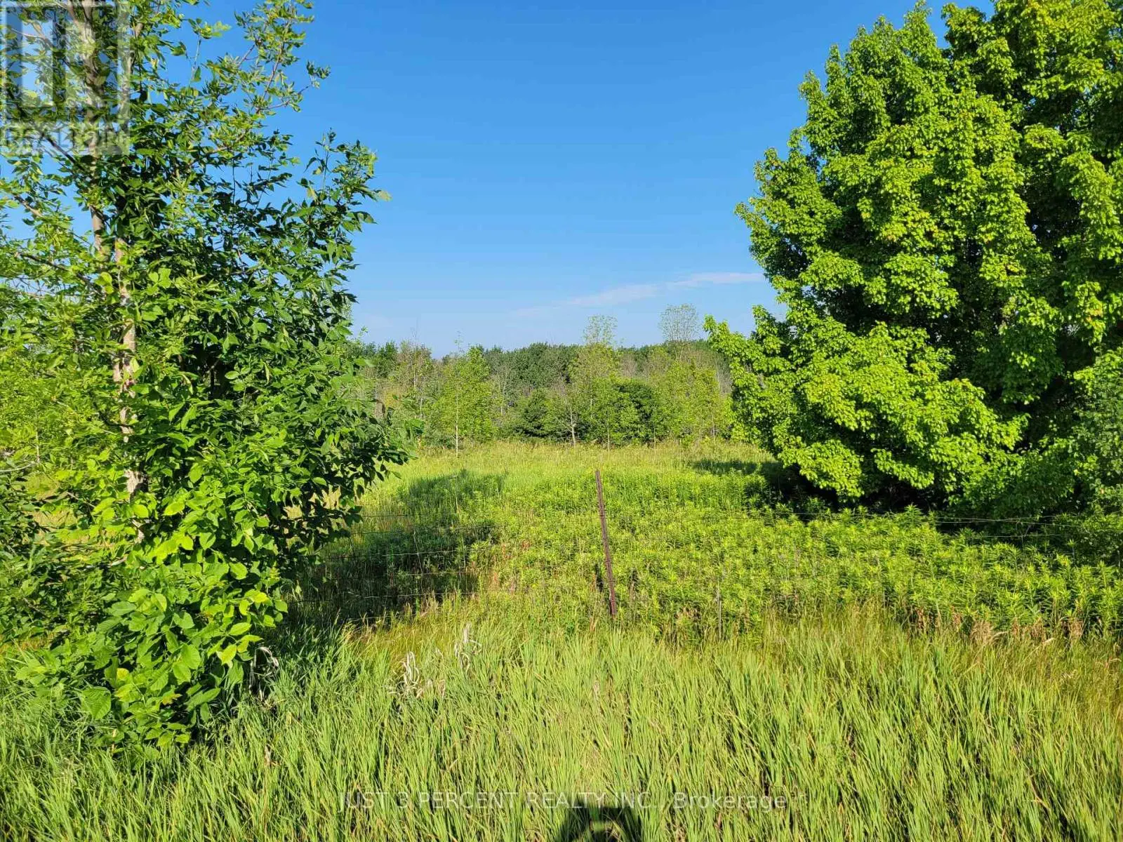 0 Curtis Point Road, Alnwick/haldimand, Ontario  K0K 2X0 - Photo 2 - X11889763