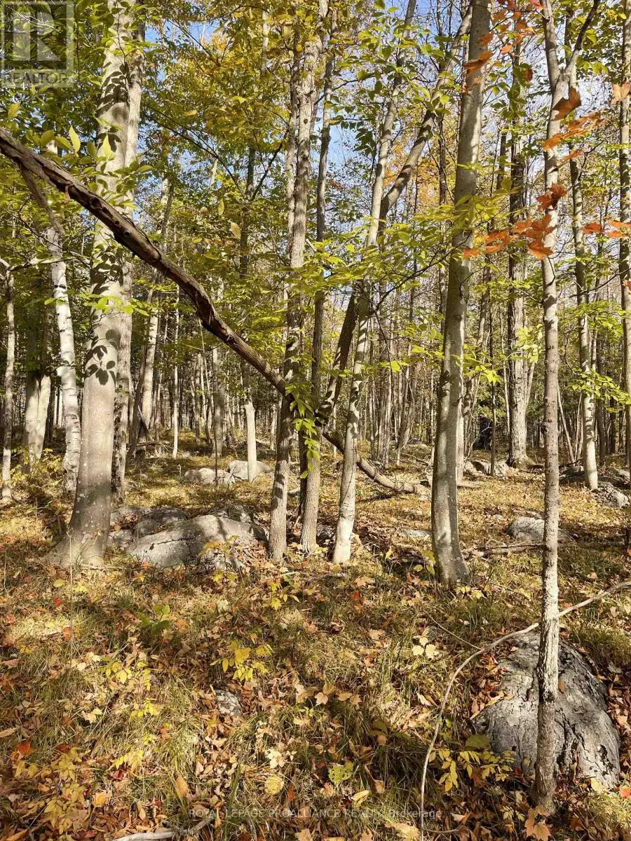 0 Marlbank Rd, Tweed, Ontario  K0K 3J0 - Photo 1 - X11895156
