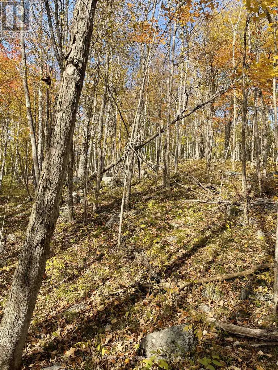 0 Marlbank Rd, Tweed, Ontario  K0K 3J0 - Photo 2 - X11895156