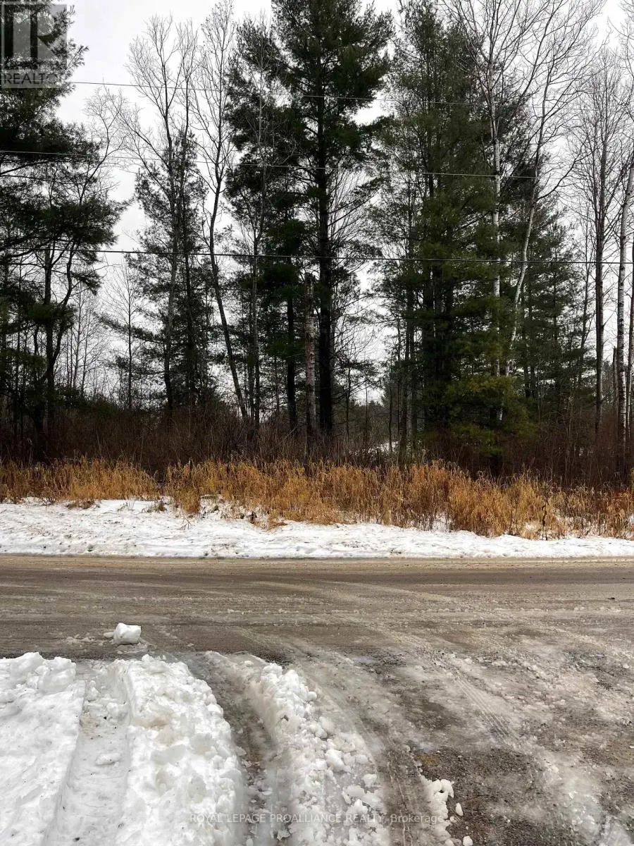 000 Otter Creek Road, Tweed, Ontario  K0K 3J0 - Photo 1 - X11908828