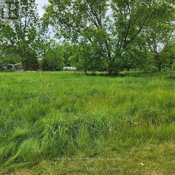 0-A Howard (South Lot) Street, Port Hope, Ontario  L1A 0B2 - Photo 1 - X11909221