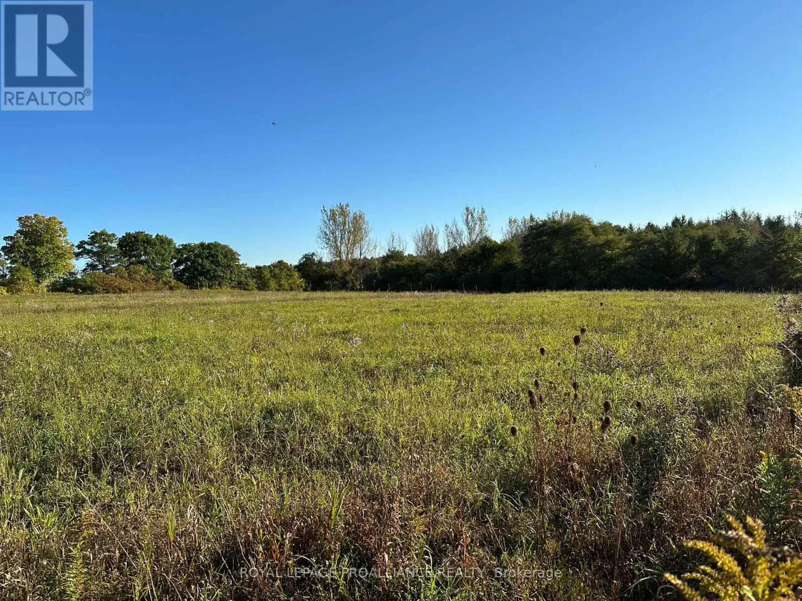 Pt Lt 24 County Road 9, Alnwick/haldimand, Ontario  K0K 2X0 - Photo 2 - X11914743