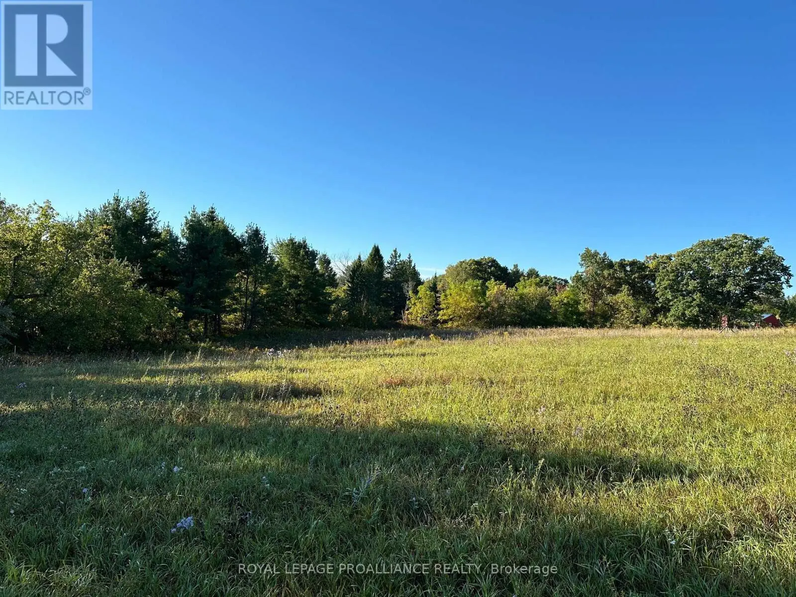Pt Lt 24 County Road 9, Alnwick/haldimand, Ontario  K0K 2X0 - Photo 3 - X11914743