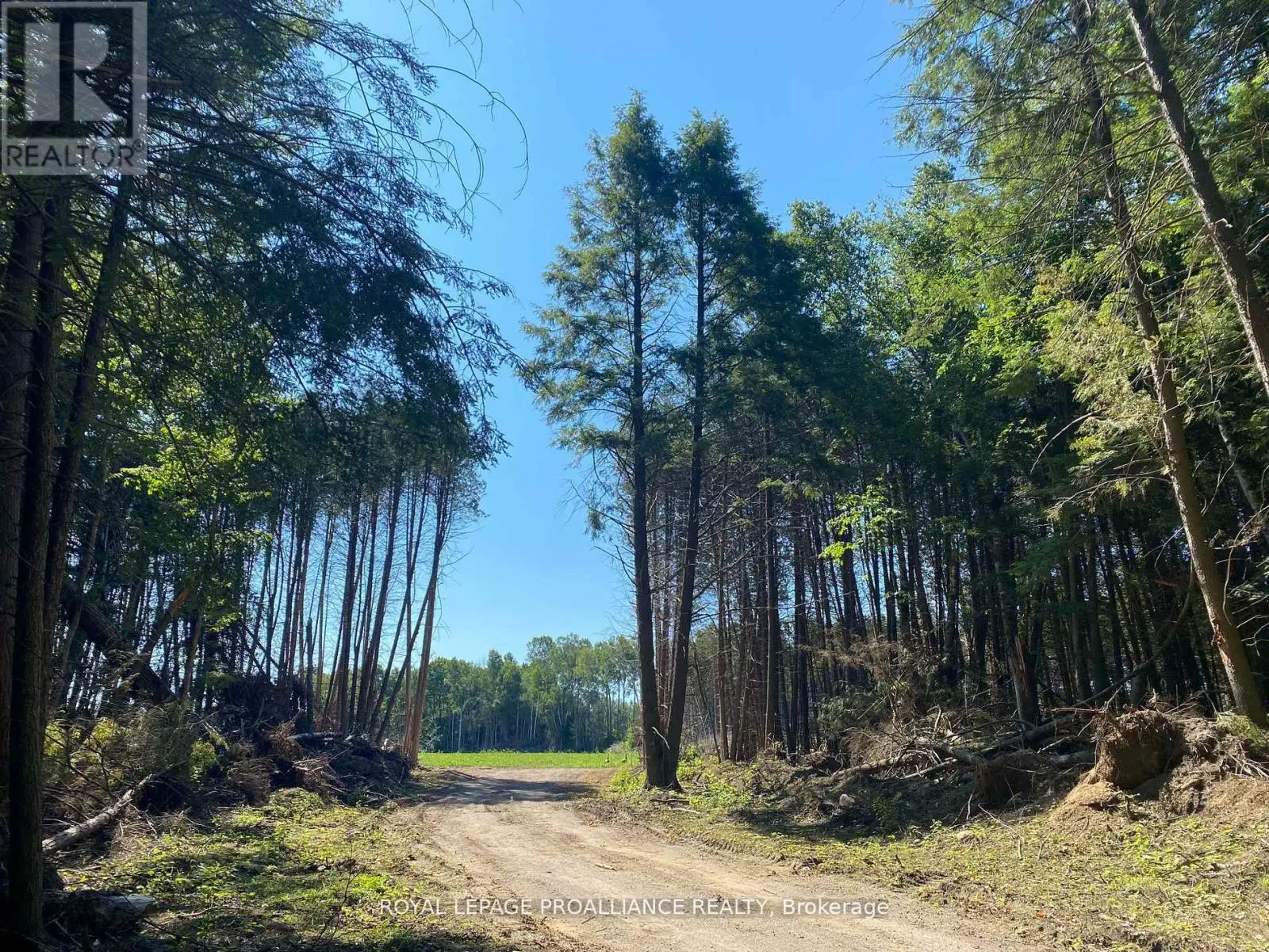 Pt Lt 3 County Rd 45, Hamilton Township, Ontario  K0K 1C0 - Photo 2 - X11916875