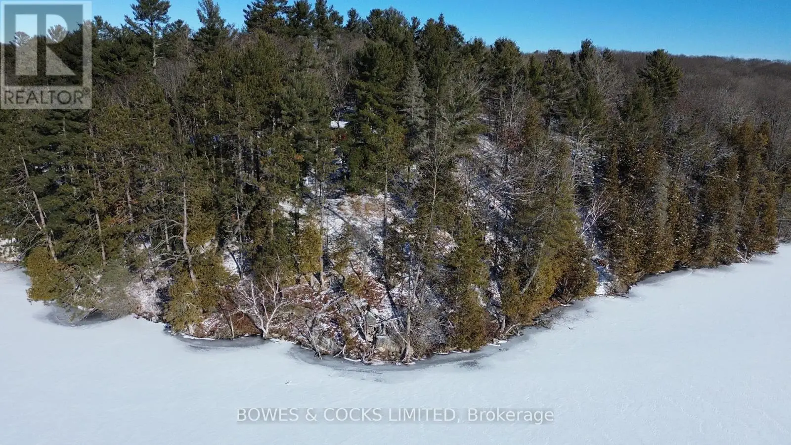 10 Fire Route 46, North Kawartha, Ontario  K0L 2H0 - Photo 1 - X11921392