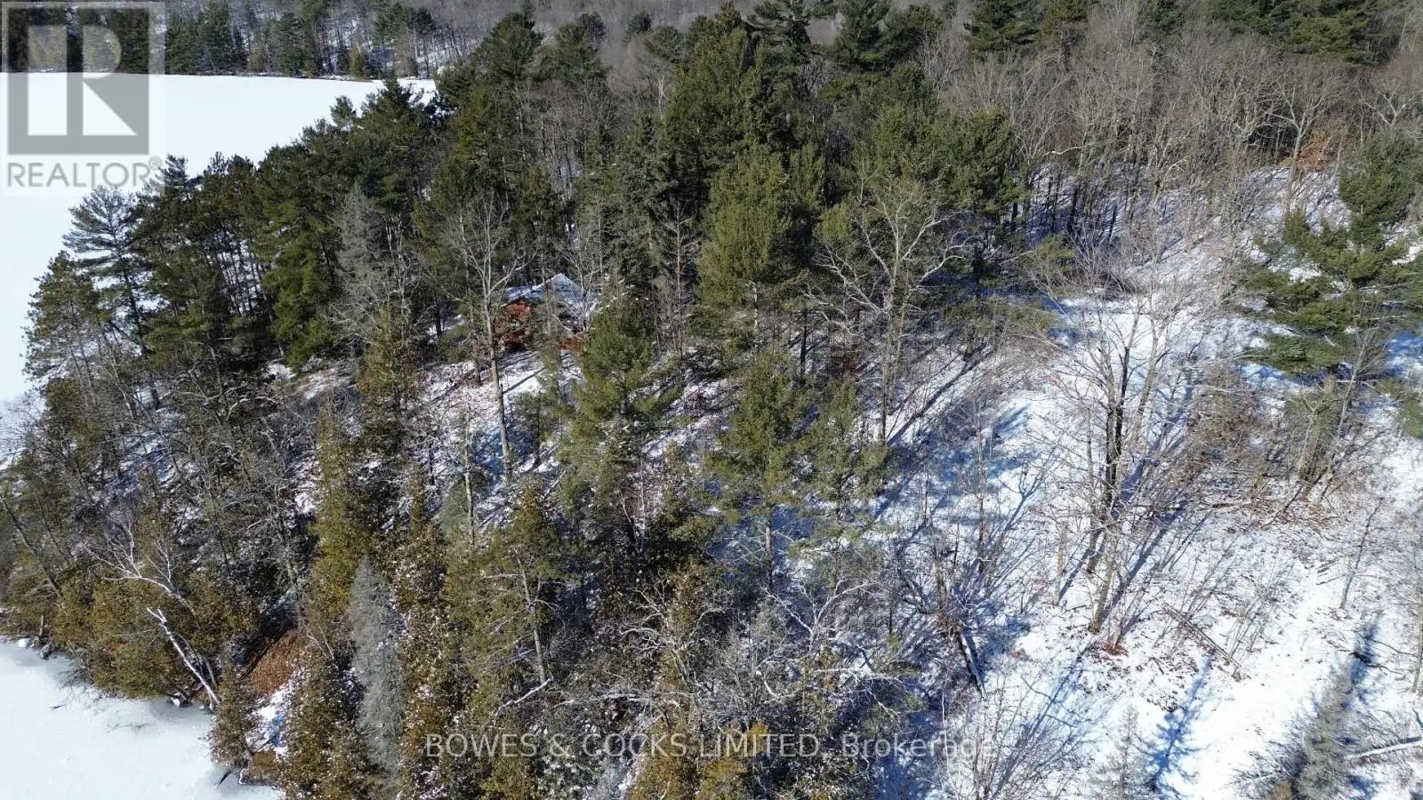 10 Fire Route 46, North Kawartha, Ontario  K0L 2H0 - Photo 3 - X11921392