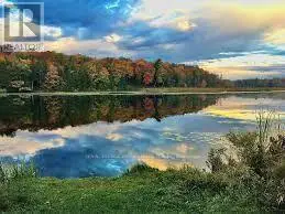 0 Lot 30 Conc 8 Thanet Lake, Wollaston, Ontario  K0L 1P0 - Photo 1 - X10925494