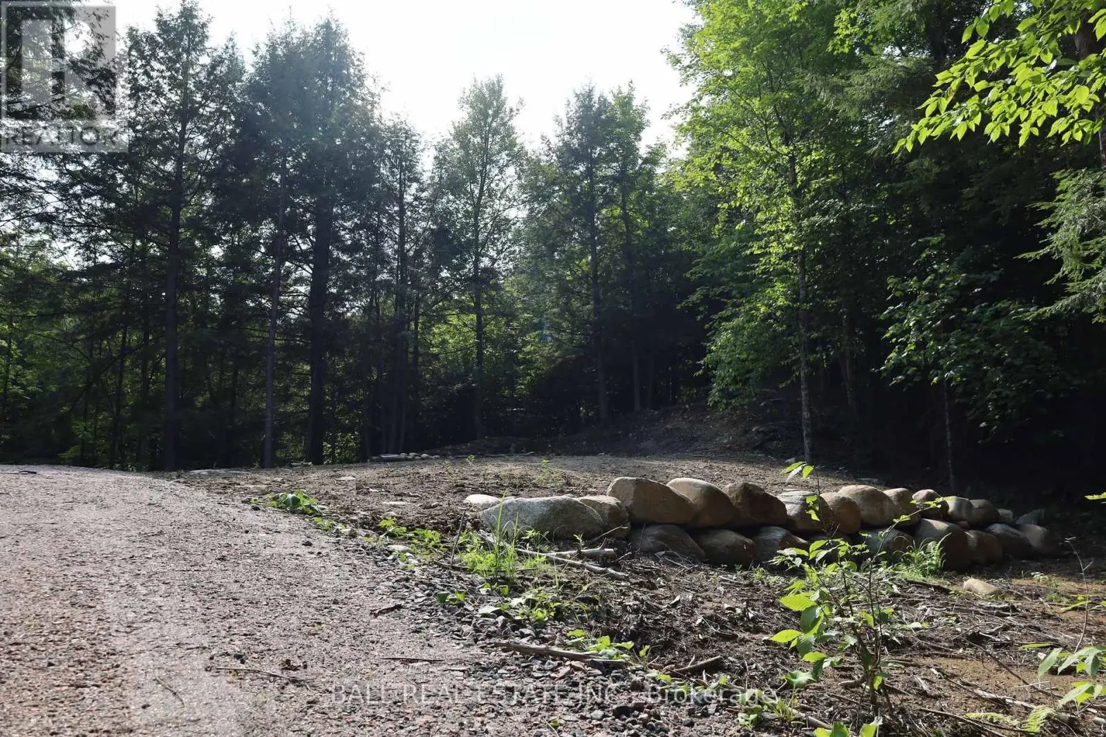 0 Ingoldsby Road, Minden Hills, Ontario  K0M 2K0 - Photo 2 - X9258569