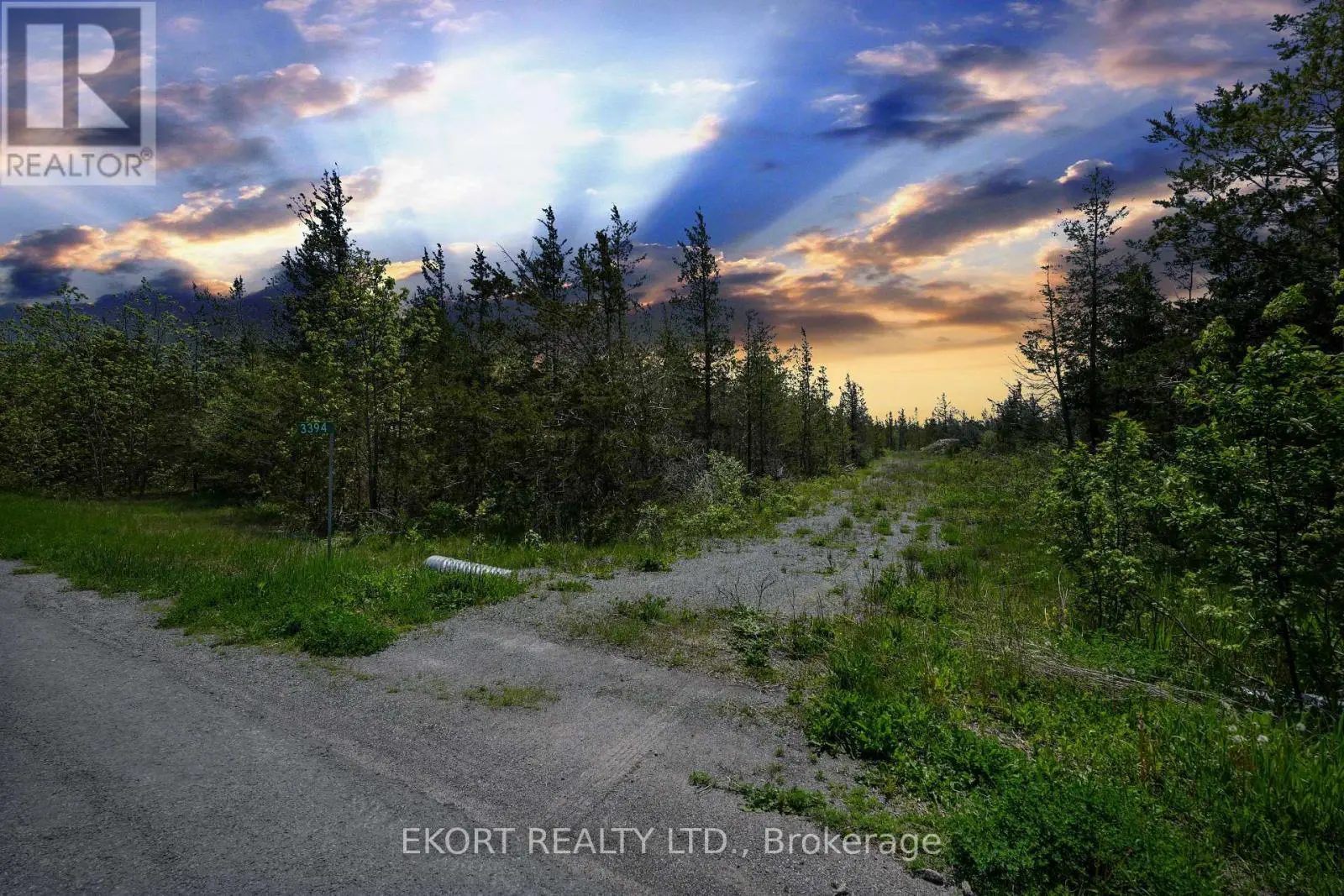 3394 County Road 13, Prince Edward County, Ontario  K0K 2P0 - Photo 1 - X11942576