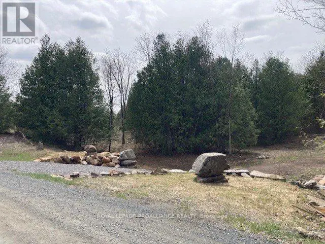 Lot 2 Vansickle Road N, Marmora And Lake, Ontario  K0L 0A7 - Photo 3 - X11943850