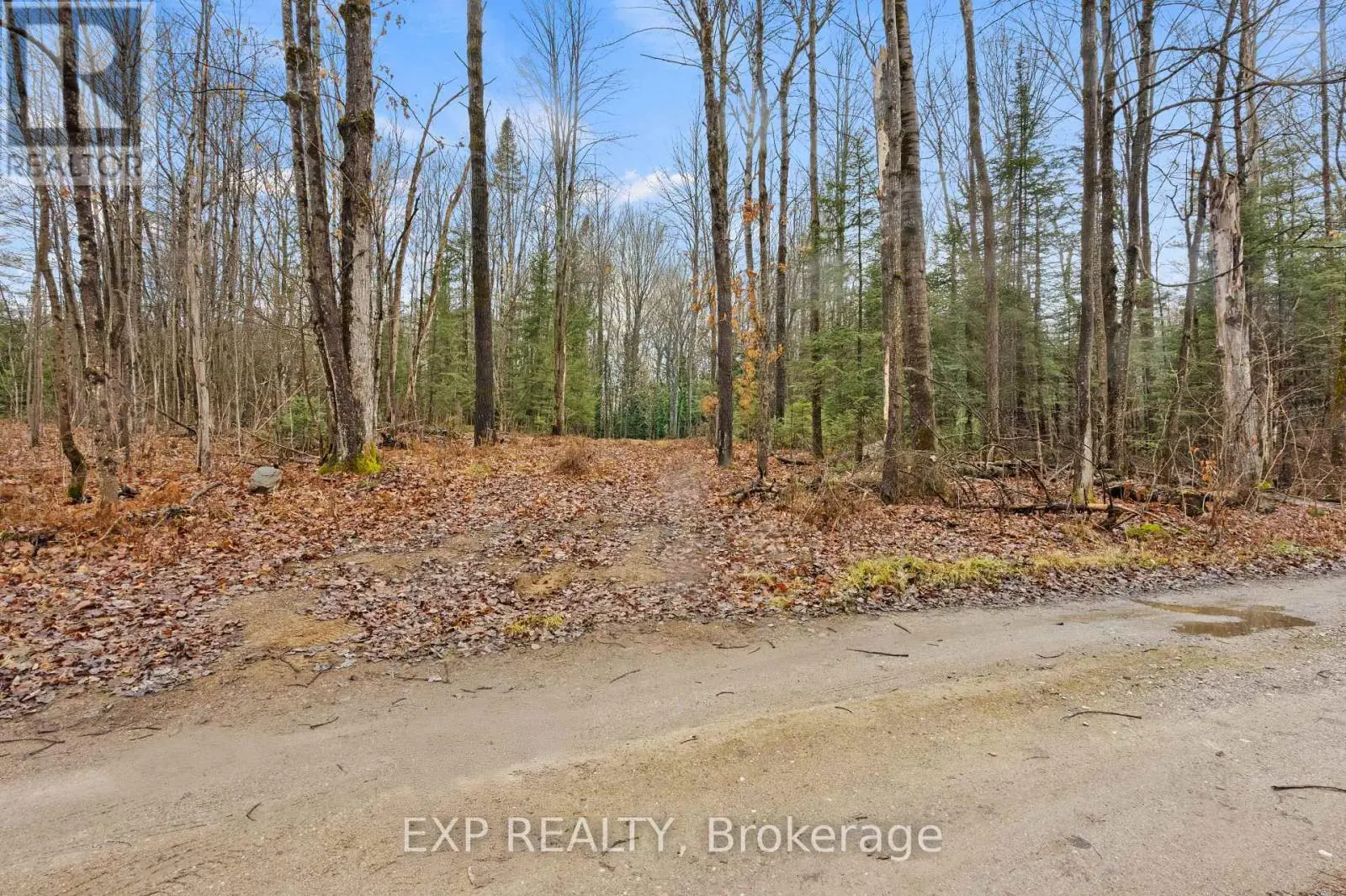 0 Gelert Road, Minden Hills, Ontario  K0M 2K0 - Photo 3 - X11943872