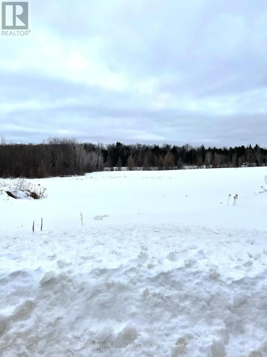 1226 Gull Lake Road, North Frontenac, Ontario  K0H 1B0 - Photo 2 - X11958174