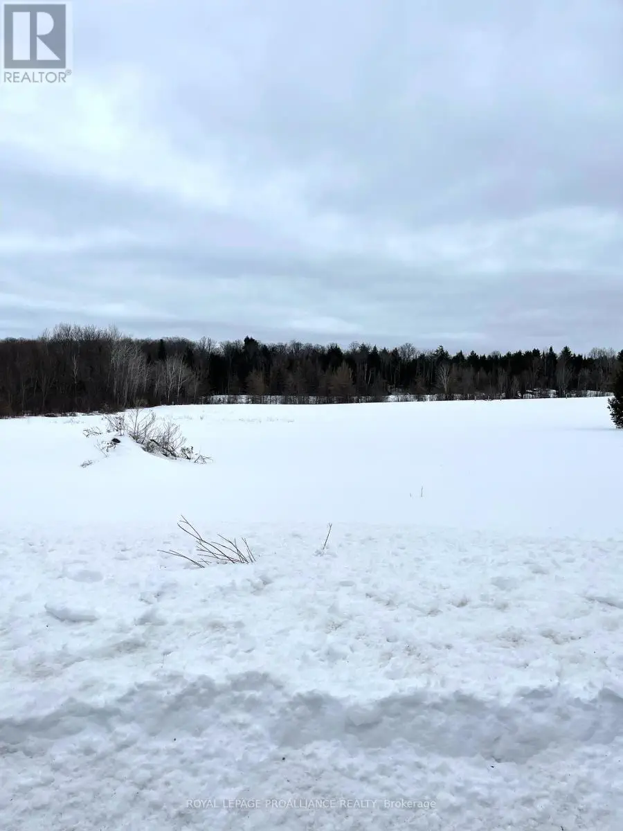 1226 Gull Lake Road, North Frontenac, Ontario  K0H 1B0 - Photo 3 - X11958174